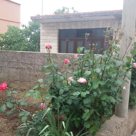 12887a Sućuraj